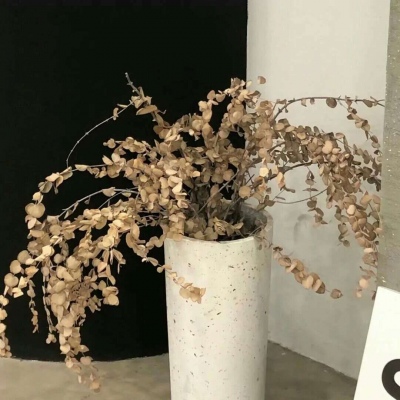 Furry插画光影营造FurryQQ群